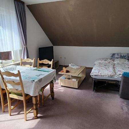 Apartmán Haus Rehblick 2, Wg 4 Sankt Andreasberg Exteriér fotografie